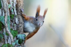 保育士が復職するのはいつから可能ですか？