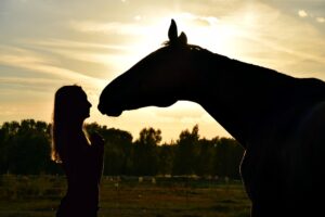 保育士としての人間関係を円滑にするためのポイントは？