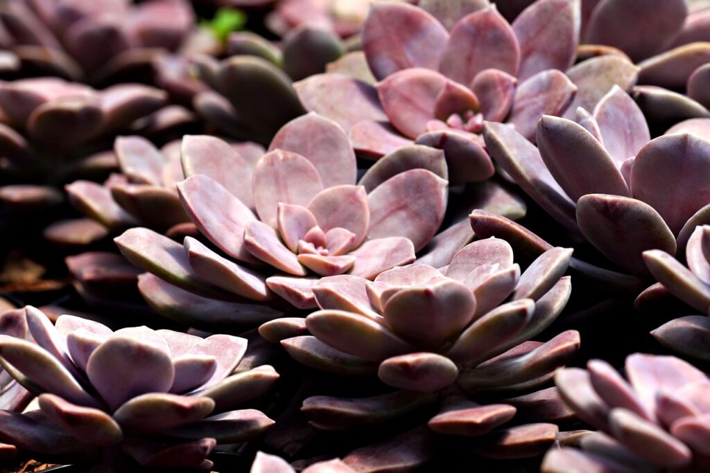 保育士復職時にピアノが弾けないことへの不安を解消する方法は？
