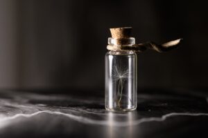 保育士が再就職手当を受け取るための条件とは？