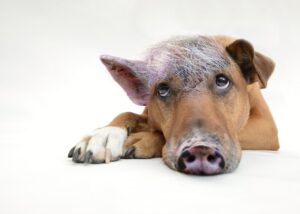 保育士がブランクを解消するための勉強方法は？