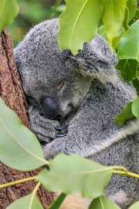 保育士が復職後に整えたい睡眠リズムは？