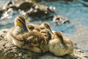 復職後の保育士が気になる子の記録の取り方は？